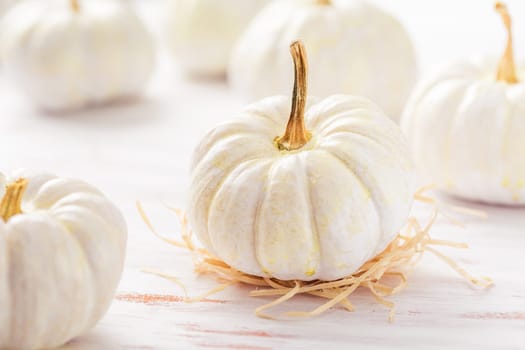 White pumpkins on wooden table, Thanksgiving and autumn decoration