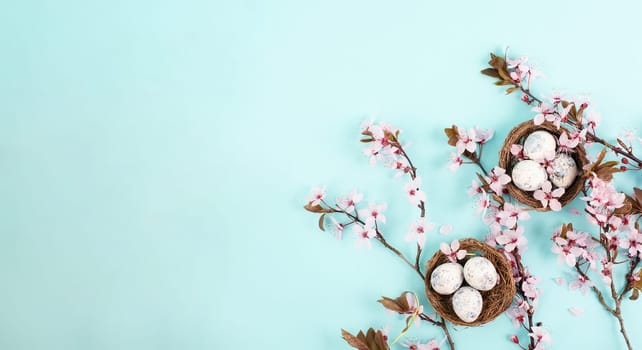 Colored easter eggs in a bird nest, pink cherry blossoms, holiday greeting card, spring season background
