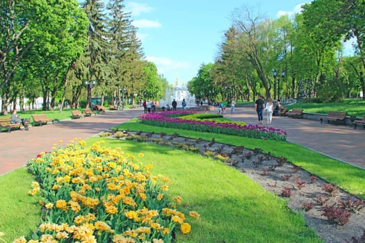 people have a rest in city park with beds of tulips in spring. Relax zone. City park in Chernihiv. Family walking along city park