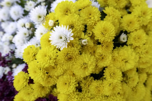 Detail of bouquets of fresh flowers, decoration with plants