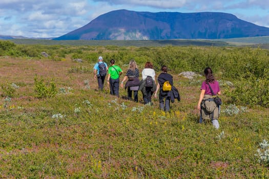 Godafoss, Iceland: August 1, 2023: Tourists hiking near the Godafoss Waterfall, North Iceland, Iceland