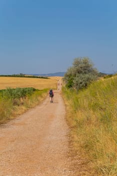 Navarre, Spain, 26 August, 2022: Pilgrims walk along the Camino De Santiago, the Way of St. James pilgrimage route, Navarra, Spain.