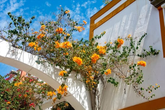 Flowers on the houses in the romantic fishing village of Puerto de Mogán on the Canary Island of Gran Canaria in Spain