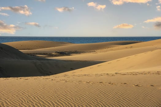 In the dunes of Maspalomas on Gran Canaria in Spain. View of the sea, with blue sky. The huge sand dunes resemble a small desert and are a nature reserve.