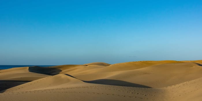 In the dunes of Maspalomas on Gran Canaria in Spain. View of the sea, with blue sky. The huge sand dunes resemble a small desert and are a nature reserve.