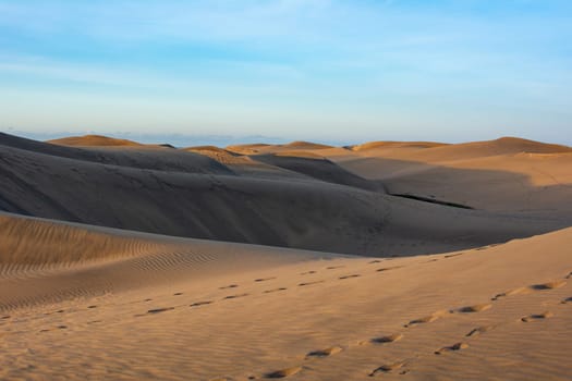 In the dunes of Maspalomas on Gran Canaria in Spain. The huge sand dunes resemble a small desert and are a nature reserve.
