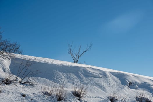 Lots of snow in nature, with trees and blue sky in the high Rhoen, Hesse, Germany