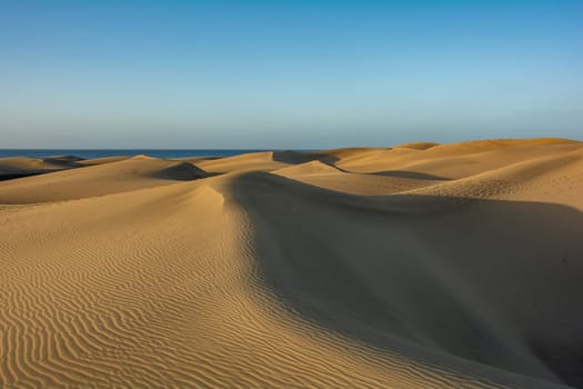 In the dunes of Maspalomas on Gran Canaria in Spain. View of the sea, with blue sky. The huge sand dunes resemble a small desert and are a nature reserve.