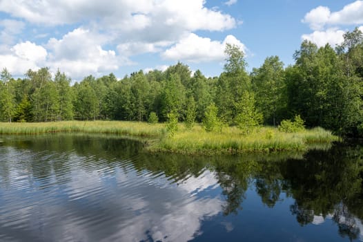 Reservoir at the red moor in the high Rhoen, Hesse, Germany. With blue sky and white clouds and reflection in the water