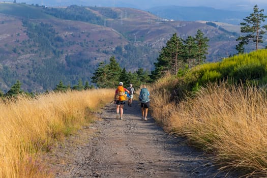 Galicia, Spain: 22 July 2023: Pilgrims on the Camino de Santiago (Pilgrim's Way to Santiago de Compostela) in Galicia, Spain.