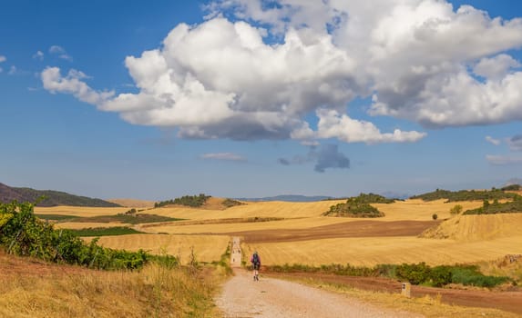 Navarre, Spain, 26 August, 2022: Pilgrims walk along the Camino De Santiago, the Way of St. James pilgrimage route, Navarra, Spain.