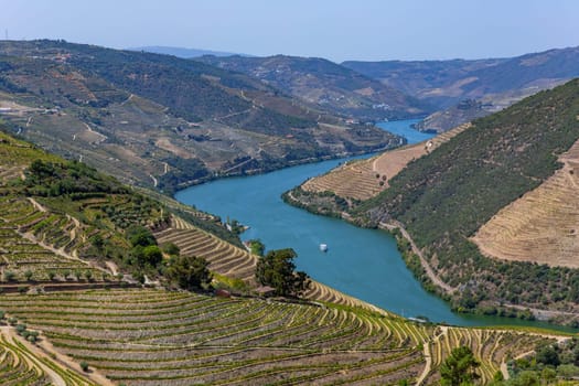 Landscape view of the beautiful douro river valley near Pinhao in Portugal
