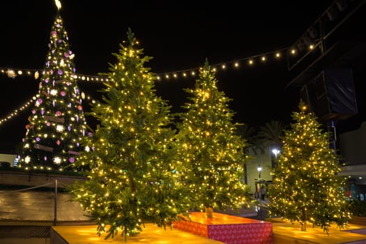 The territory near the house is decorated for Christmas. Live Christmas tree: spruce, pine, spruce in pots.