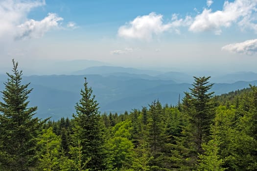 Hazy Mountains in the Distance Over a Verdant Forest From Mt Mitchell in North Carolina