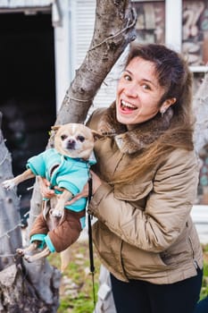 Portrait of young attractive smiling brunette woman holding little Chihuahua dog on her hands at summer green park.