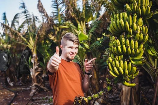 Farmer giving thumbs up on banana plantation.