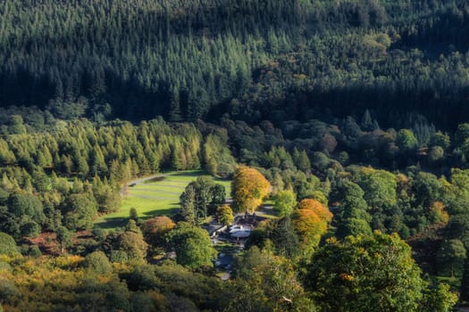 Childrens playground next to Powerscourt Waterfall, hidden in the forest. Wicklow Mountains in autumn colours, Ireland