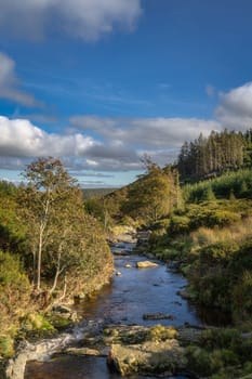 Dargle River running through autumn forest and going down to Powerscourt Waterfall. Hiking in Wicklow Mountains, Ireland