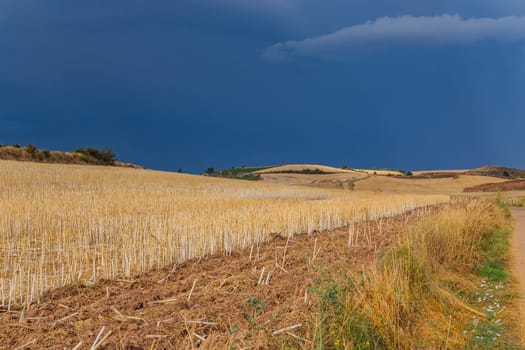 Rural road in the Spanish countryside among agricultural fields, after wheat harvest season. Navarra, Spain