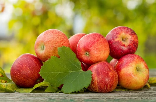Close-up of few organic red apples on a wooden table. Tree leaves between fruits.