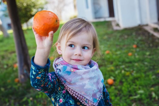 Little girl holding apples in the garden
