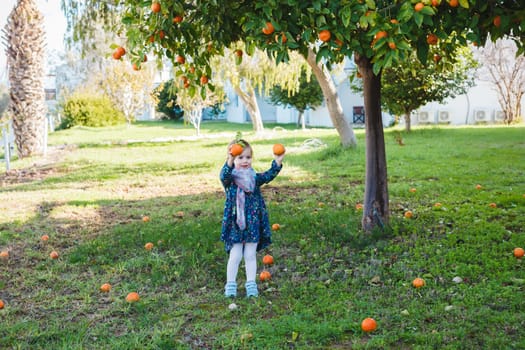 Little girl holding apples in the garden