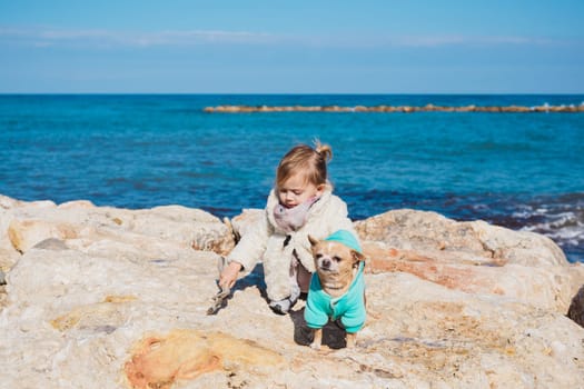 Little girl with chihuahua dog, outdoor summer.