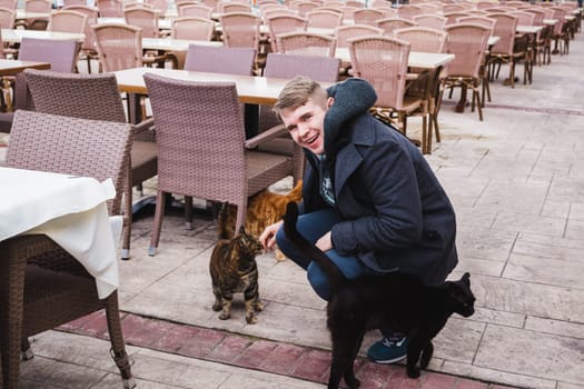 Smiling young man stroking the stray cats.