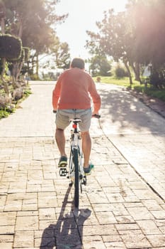 Back view of handsome guy riding bicycle in the park.