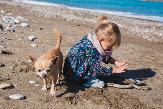 Little girl with chihuahua dog, outdoor summer.
