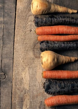 Three different root vegetables on a rustic wooden kitchen table on a dark background with space for text or image, healthy food or vegan ingredients concept, cover image, vegetarian food