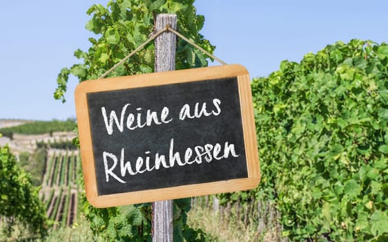 Blackboard in the vineyards - Wines from Rheinhessen in german - Weine aus Rheinhessen
