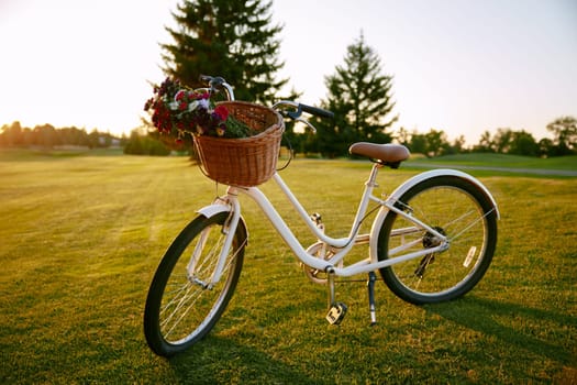 Bicycle with wildflower blossoms in wicker basket on lawn. Female florist eco-friendly transport, road trip journey and adventure outdoors concept