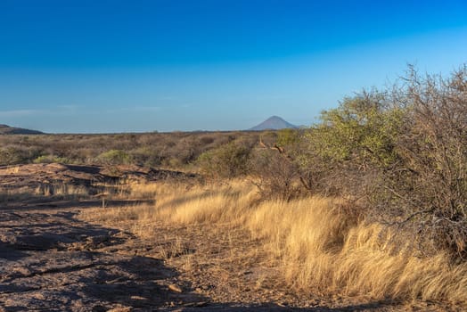 Dry savannah landscape in Erongo, Namibia