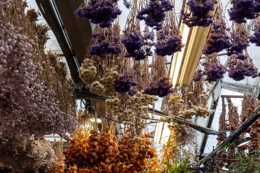 Amsterdam, Netherlands - April 21, 2023: the traditional Flower Market in Amsterdam, Holland, The Netherlands