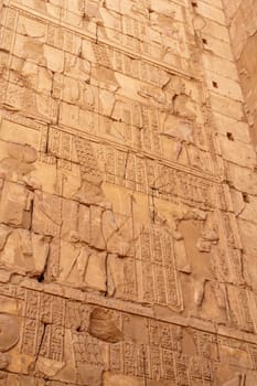 Old Egyptian hieroglyphs on an ancient wall.  Egypt. Vertically.