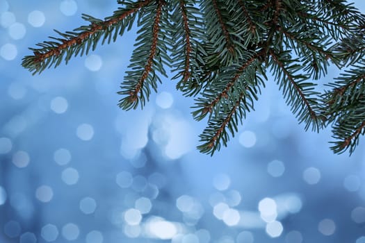 Christmas background with fir branches and glittering snowflakes