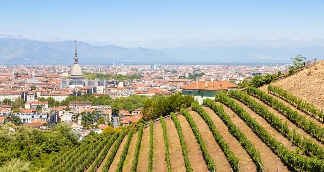 Turin, Italy - August 2022: panorama with Mole Antonelliana monument, wineyard and Alps mountains