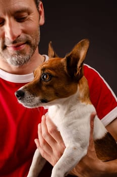 Cute young Jack Russell Terrier on the arm of his human friend on a dark background