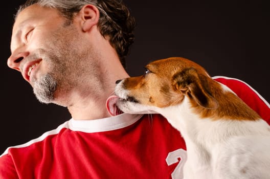 Cute young Jack Russell Terrier giving kisses on the arm of his human friend on a dark background