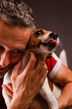 Cute young Jack Russell Terrier on the arm of his human friend on a dark background