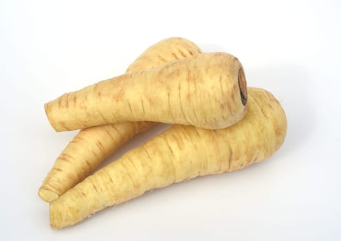 Parsnip,Pastinaca sativa,is an important medicinal and medicinal plant. Parsnip,Pastinaca sativa,is an important medicinal,vegetable and medicinal plant.