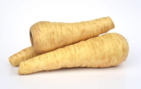 Parsnip,Pastinaca sativa,is an important medicinal and medicinal plant. Parsnip,Pastinaca sativa,is an important medicinal,vegetable and medicinal plant.