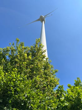 Wind turbines are sustainable power generators that are powered by the wind and provide clean electricity. Wind turbines are sustainable power generators that are driven by the wind and deliver clean electricity.