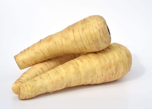 Parsnip,Pastinaca sativa,is an important medicinal and medicinal plant. Parsnip,Pastinaca sativa,is an important medicinal,vegetable and medicinal plant.