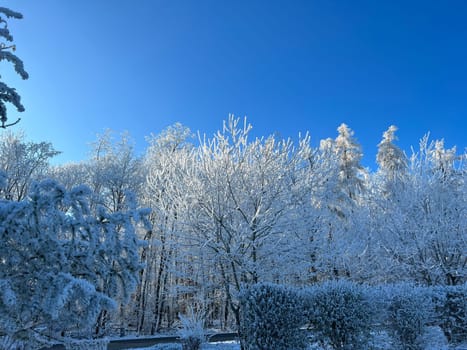 Winter landscape and snowy landscape in Taunusstein im Taunus. Winter landscape and snow landscape in Taunusstein in the Taunus.