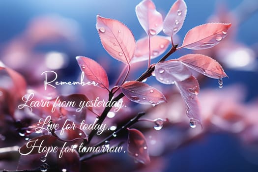 Learn from yesterday quote with beautiful pink leaf background