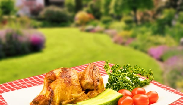 Grilled fresh fried chicken with vegetables on a white plate on table with red checkered table cloth over a blurred garden background. Meat on barbecue grill.