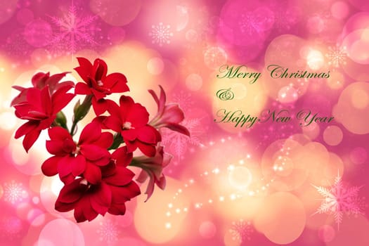Merry Christmas and Happy New Year greeting card. Beautiful red blossoms and the incription Xmas and New year on a abstract pink background with stars and lights.