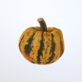 Pumpkin isolated on white background 3d rendering